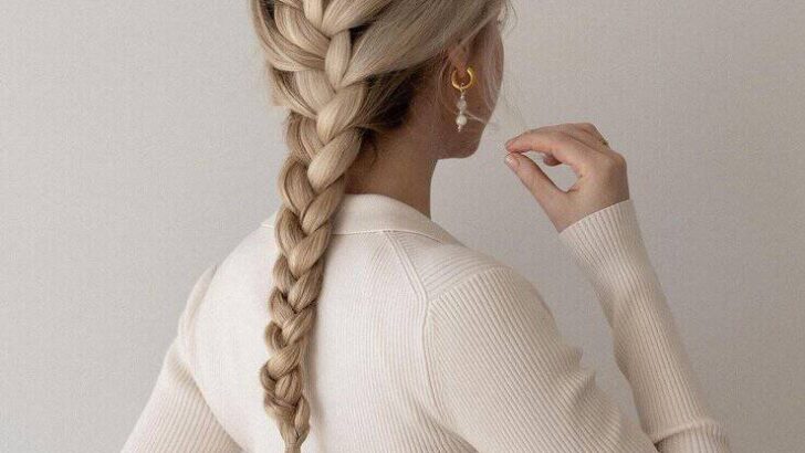 40 Incroyables Coiffures De Tresses Françaises Qui Te Feront Tordre Et Crier